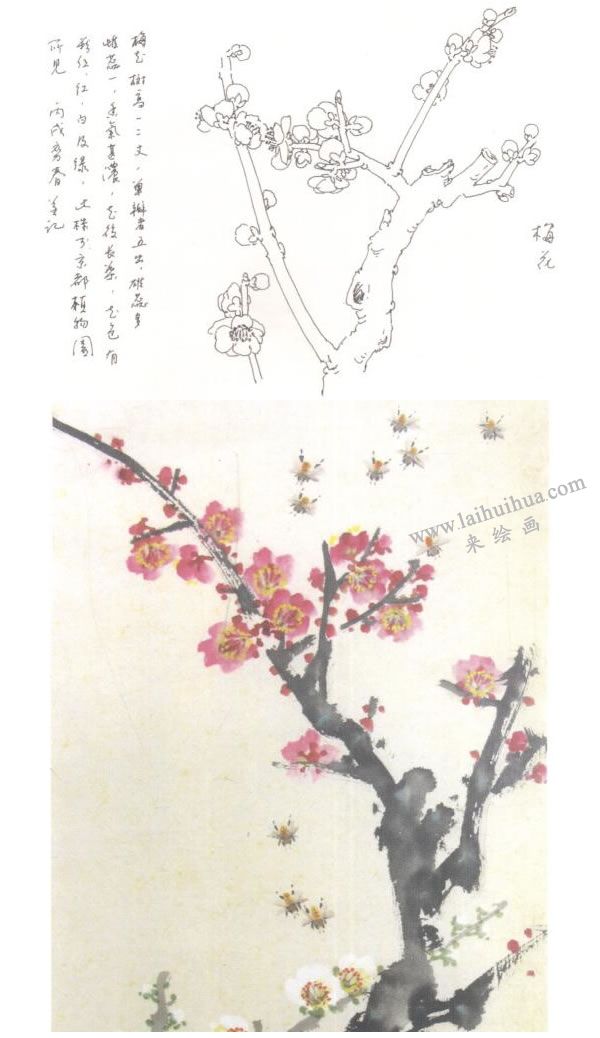 梅花的寫意畫法
