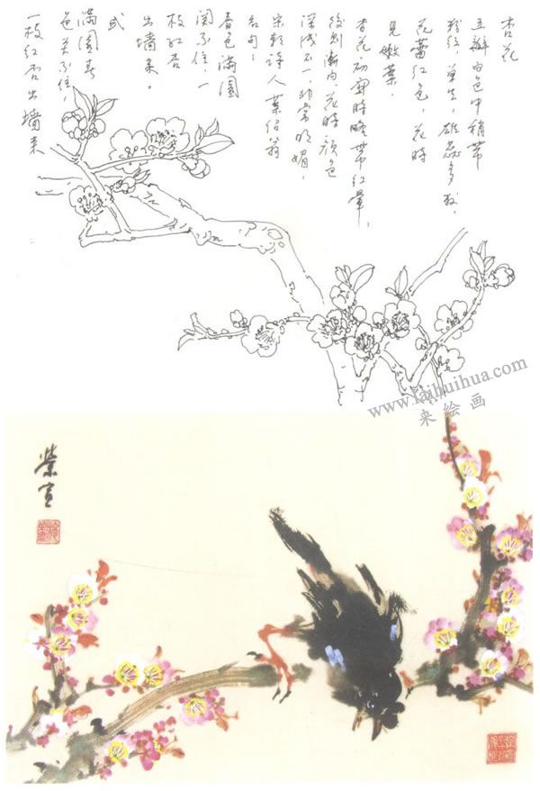 杏花的寫意畫法