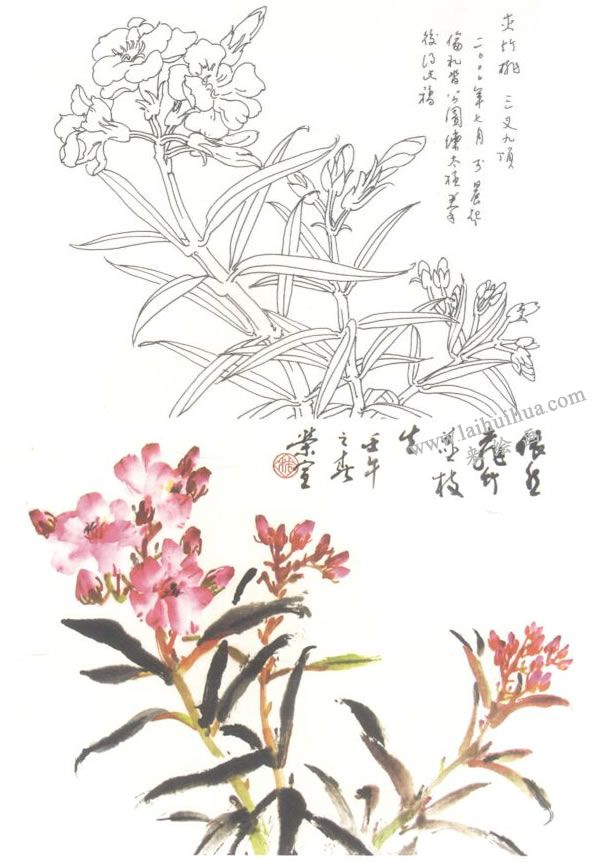 夾竹桃寫(xiě)意畫(huà)法
