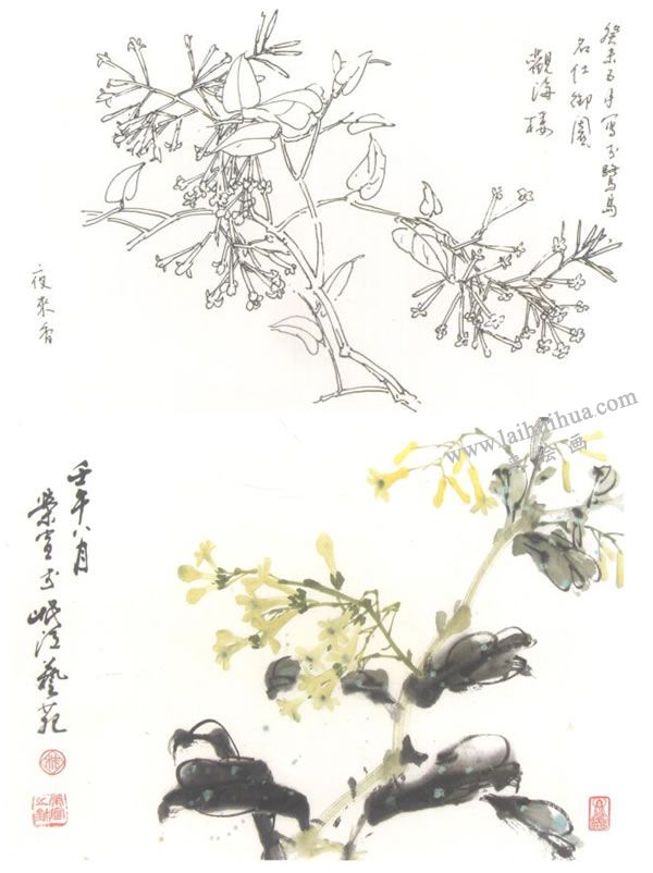 夜來香寫意畫法