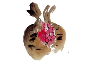 石榴寫(xiě)意畫(huà)法（一）