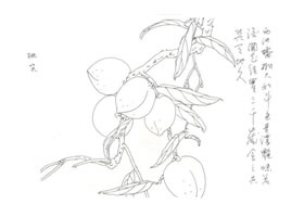 桃子寫(xiě)意畫(huà)法
