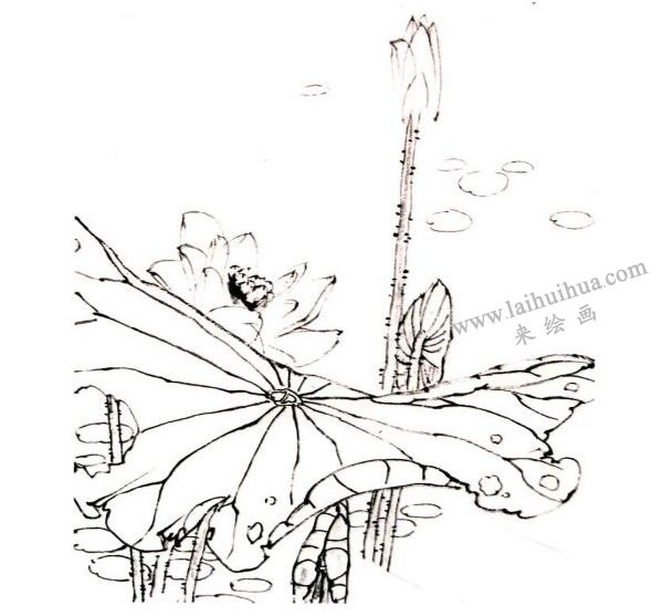 李同安《荷趣圖》小寫(xiě)意畫(huà)法步驟圖示01
