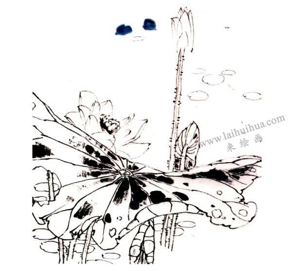 李同安《荷趣圖》小寫(xiě)意畫(huà)法步驟圖示02