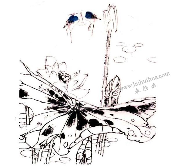 李同安《荷趣圖》小寫(xiě)意畫(huà)法步驟圖示03