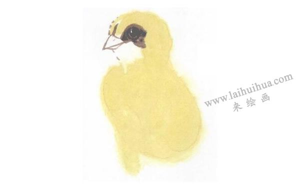 小黃雞寫意畫法步驟圖示02