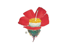 山茶花的寫(xiě)意畫(huà)法（二）