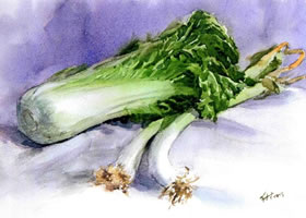 白菜與大蔥水彩畫法