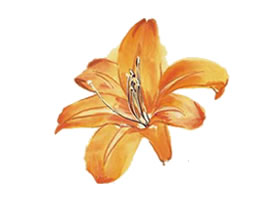 萱草花的寫(xiě)意畫(huà)法