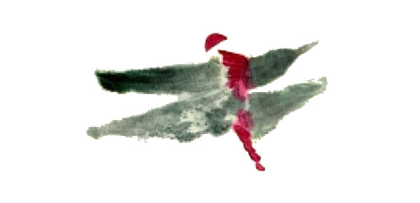 紅蜻蜓寫意畫法步驟圖示02