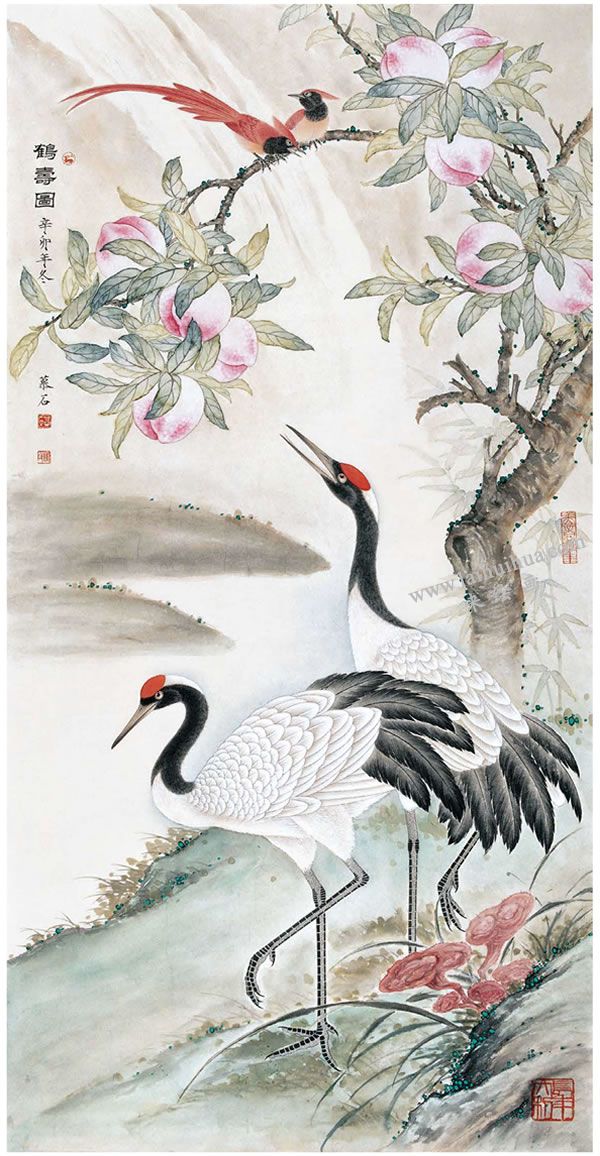 工筆畫(huà)《鶴壽圖》步驟圖示05