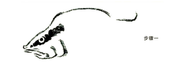 鱖魚的寫意畫法步驟圖示01
