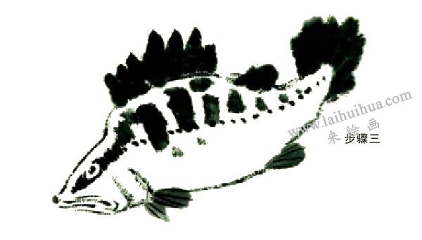 鱖魚的寫意畫法步驟圖示03