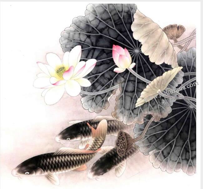 工筆畫《荷花鯉魚》畫法步驟圖示04