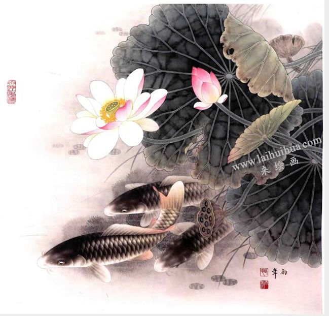 工筆畫《荷花鯉魚》畫法步驟圖示05