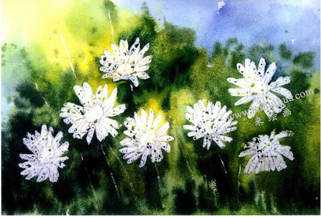 山菊花水彩畫法步驟圖示04