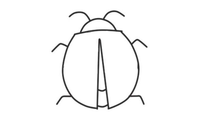 七星瓢蟲(chóng)簡(jiǎn)筆畫(huà)創(chuàng)作步驟03