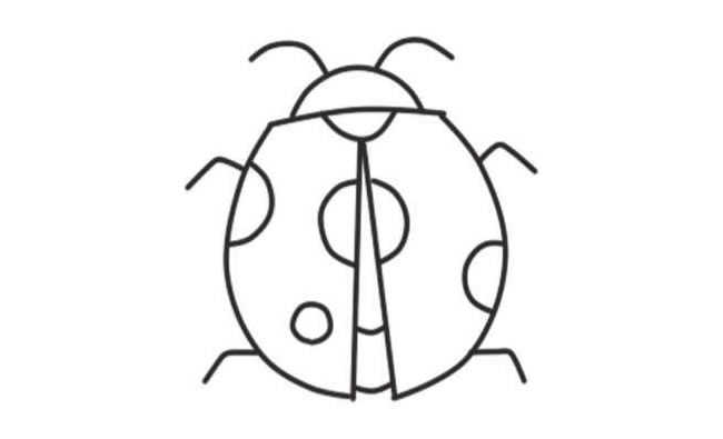七星瓢蟲(chóng)簡(jiǎn)筆畫(huà)創(chuàng)作步驟04