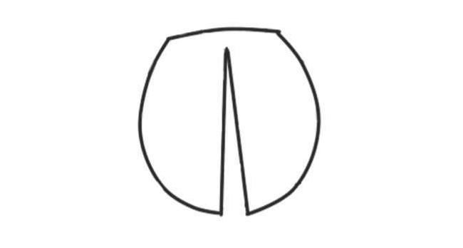 七星瓢蟲(chóng)簡(jiǎn)筆畫(huà)創(chuàng)作步驟01