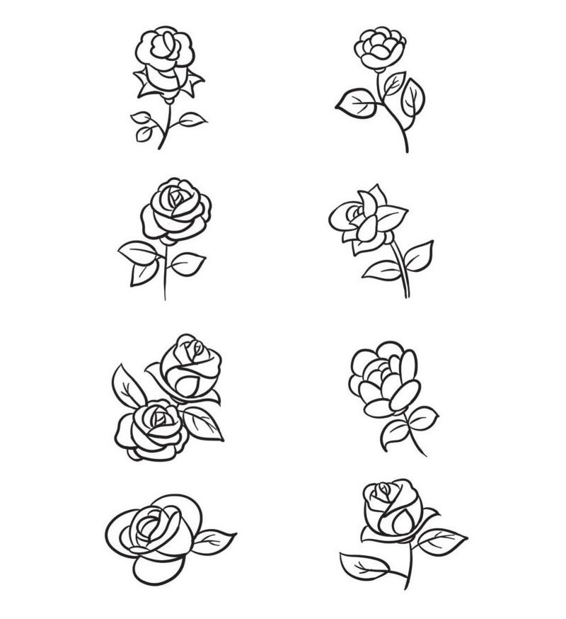 玫瑰花簡筆畫合集