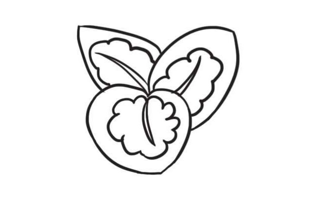 竹芋簡筆畫創(chuàng)作步驟圖示03