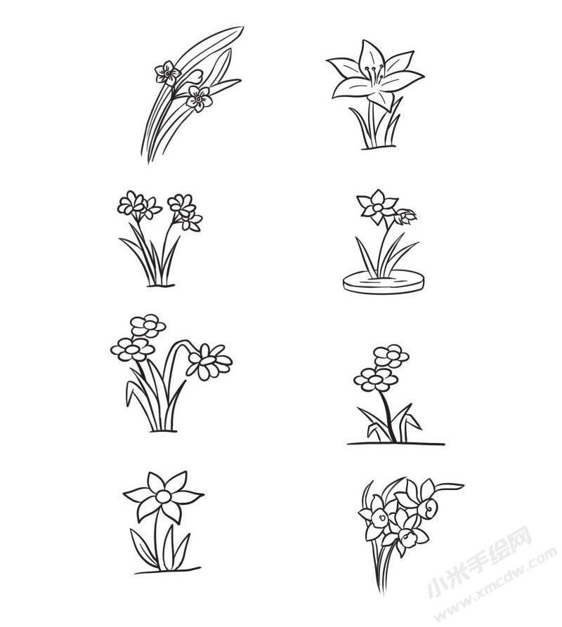 水仙花簡筆畫集合