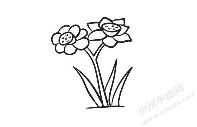 水仙花簡筆畫創(chuàng)作步驟圖示04