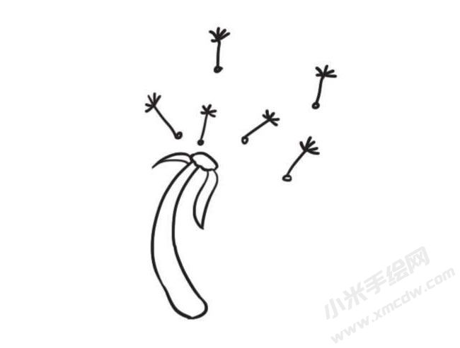 蒲公英簡筆畫創(chuàng)作步驟圖示03