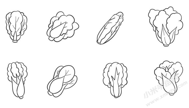 大白菜簡(jiǎn)筆畫集合