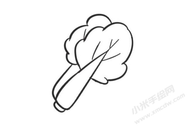 大白菜簡(jiǎn)筆畫創(chuàng)作步驟圖示04