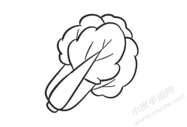 大白菜簡(jiǎn)筆畫創(chuàng)作步驟圖示05