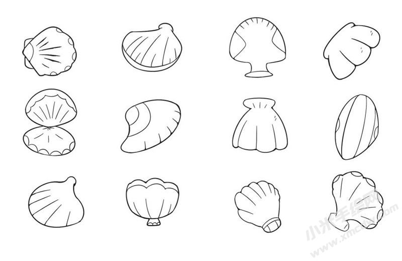 貝殼簡(jiǎn)筆畫(huà)集合