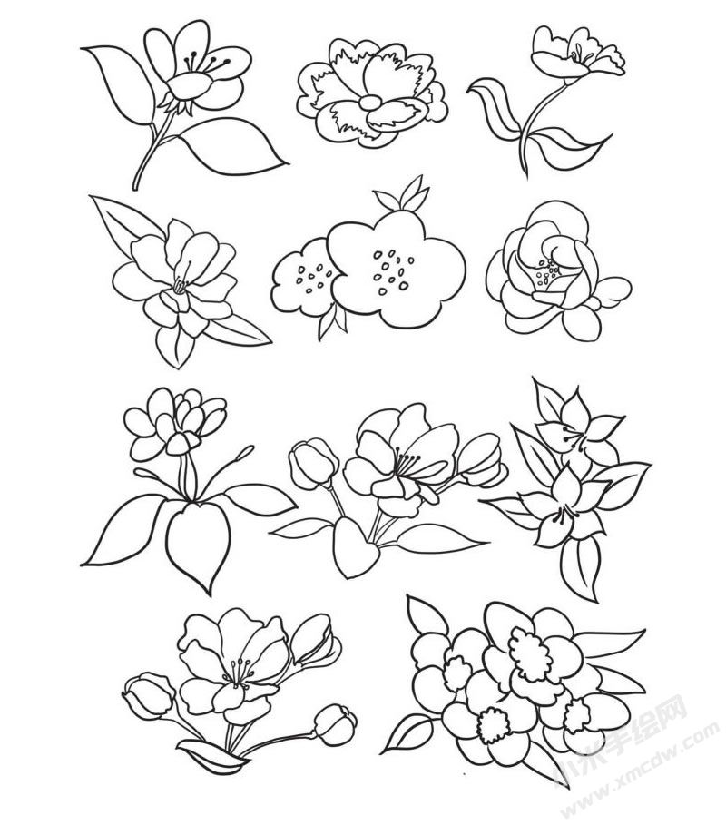 海棠花簡(jiǎn)筆畫(huà)集合