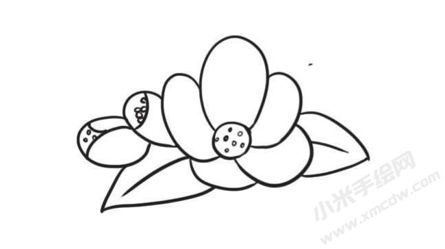海棠花簡(jiǎn)筆畫(huà)創(chuàng)作步驟圖示03