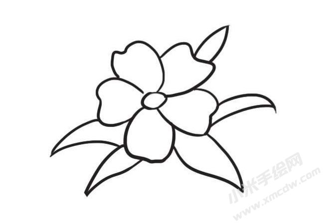 茉莉花簡筆畫創(chuàng)作步驟圖示03