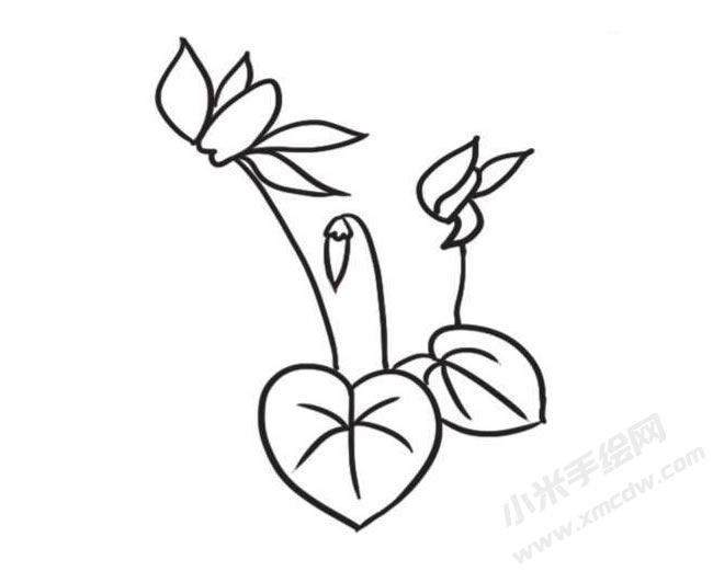 仙客來簡筆畫創(chuàng)作步驟圖示04