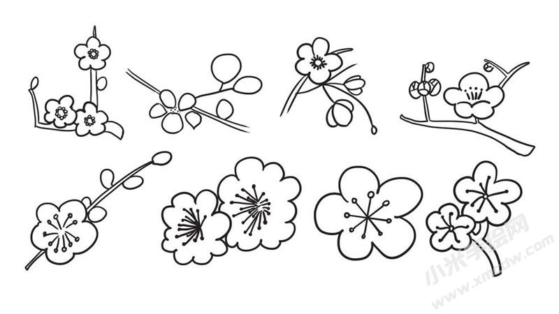 梅花簡(jiǎn)筆畫集合