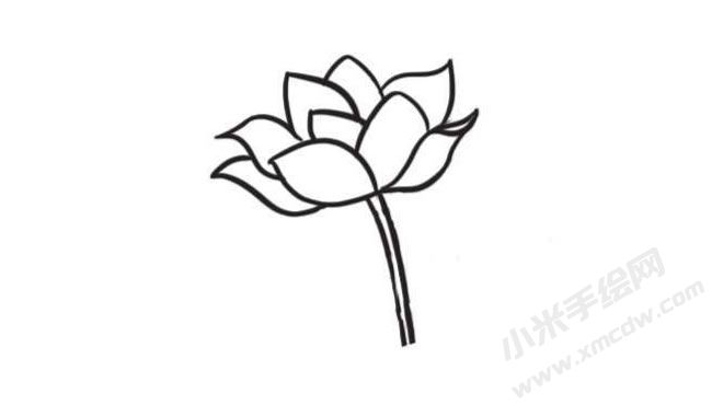 荷花簡(jiǎn)筆畫創(chuàng)作步驟圖示01