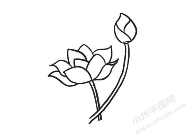 荷花簡(jiǎn)筆畫創(chuàng)作步驟圖示02