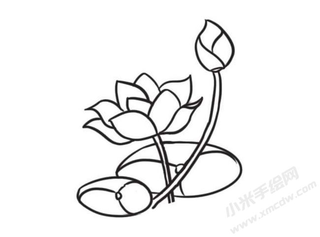 荷花簡(jiǎn)筆畫創(chuàng)作步驟圖示03