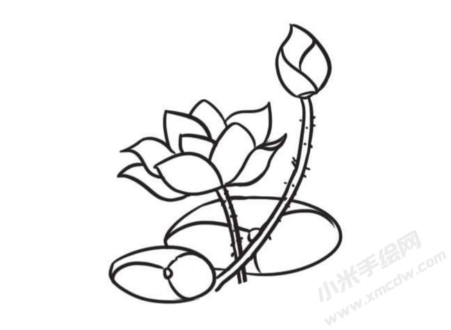 荷花簡(jiǎn)筆畫創(chuàng)作步驟圖示04