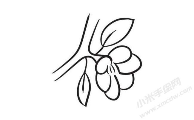 桃花簡(jiǎn)筆畫(huà)創(chuàng)作步驟圖示04
