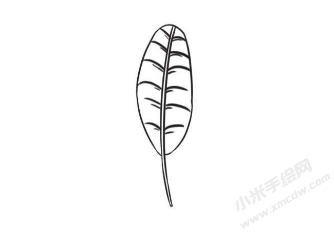 芭蕉樹簡筆畫創(chuàng)作步驟圖示03