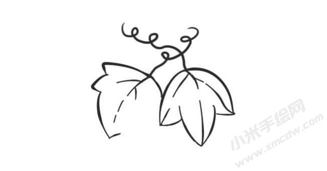 葡萄簡(jiǎn)筆畫(huà)創(chuàng)作步驟圖示02