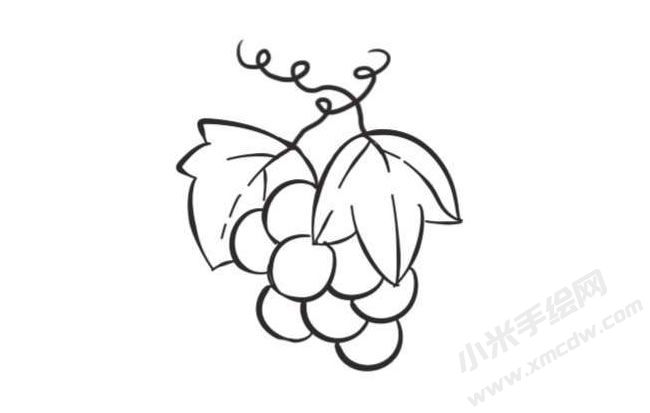 葡萄簡(jiǎn)筆畫(huà)創(chuàng)作步驟圖示03