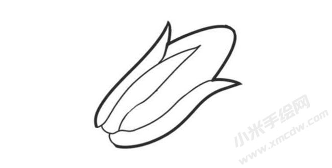 玉米簡筆畫創(chuàng)作步驟圖示03