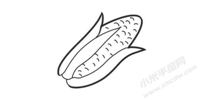 玉米簡筆畫創(chuàng)作步驟圖示04