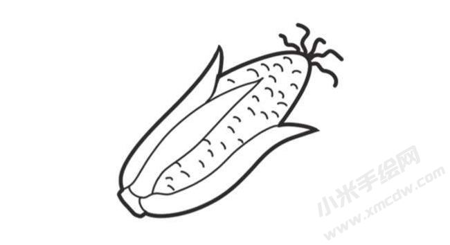 玉米簡筆畫創(chuàng)作步驟圖示05