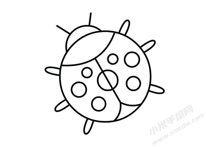 七星瓢蟲簡(jiǎn)筆畫黑白線稿01.jpg