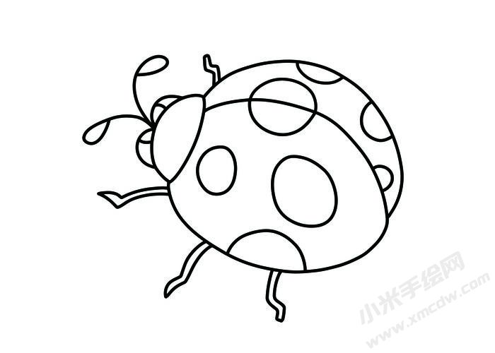 七星瓢蟲簡(jiǎn)筆畫黑白線稿04.jpg